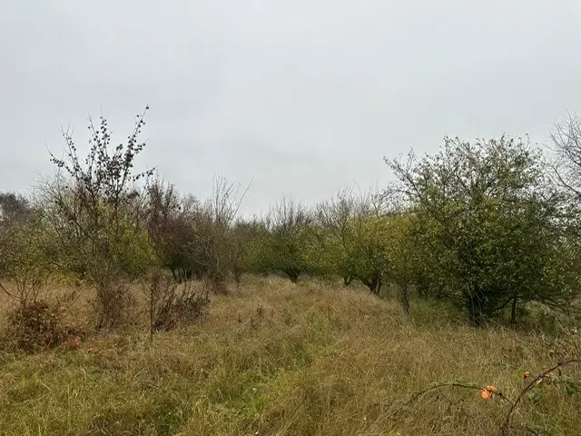 Eigendomsperceel van ca. 3.740 m² -off grid- Niederndodeleben, Maagdenburg - Duitsland