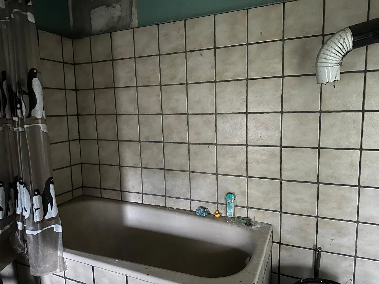 Vrijstaand landhuis met schuur op ca. 1.090 m² eigendomsperceel - Rohndorf, Halle / Leipzig - Duitsland