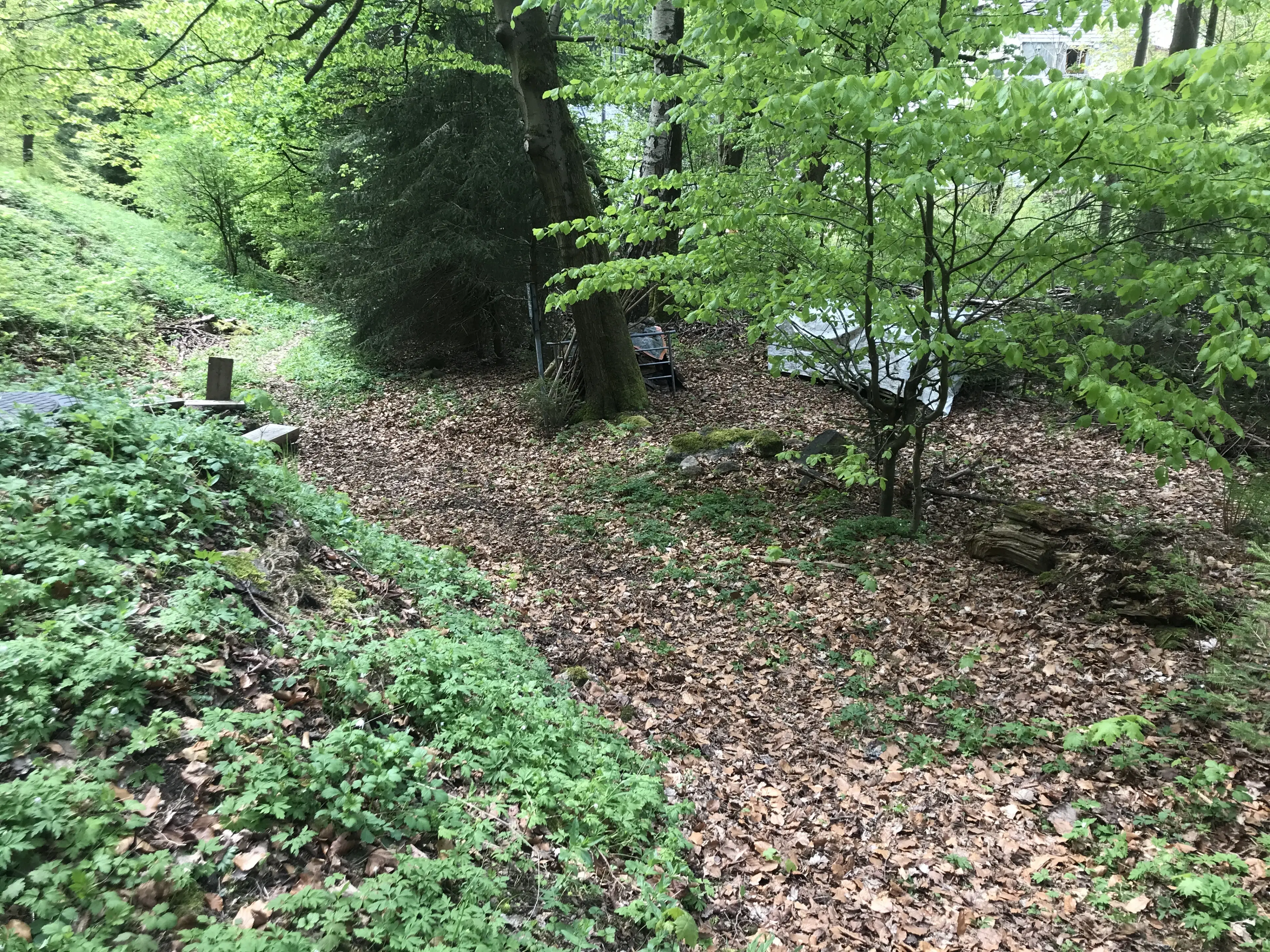 Woning met diverse aanbouwen en een solide basisconstructie in Klingenthal - Duitsland