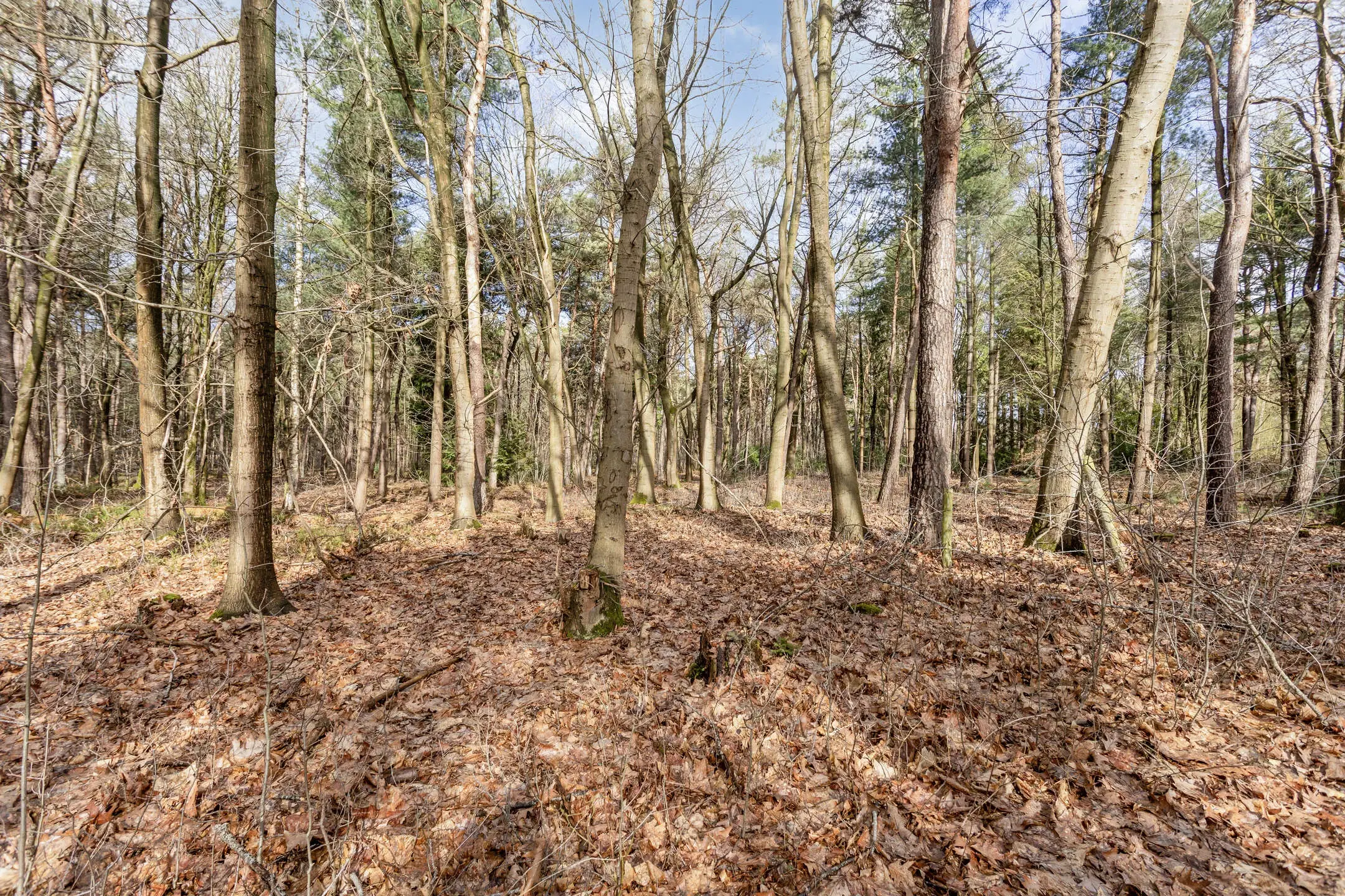 Duizel, Berkvenseweg 6