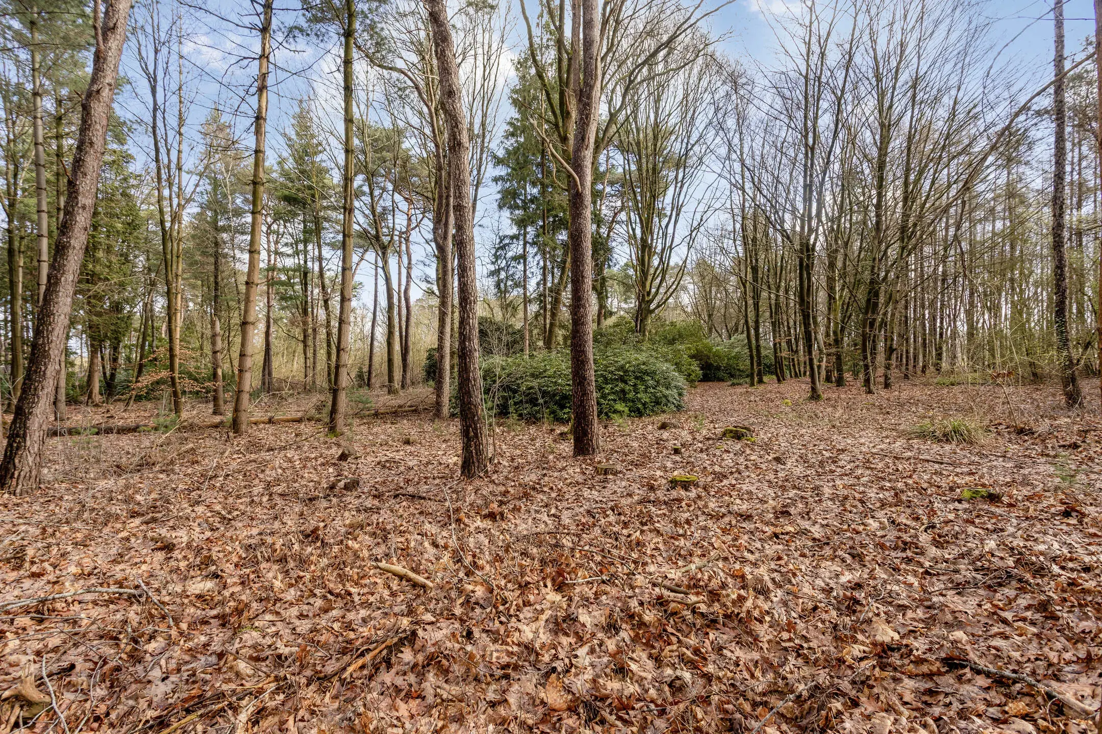 Duizel, Berkvenseweg 6