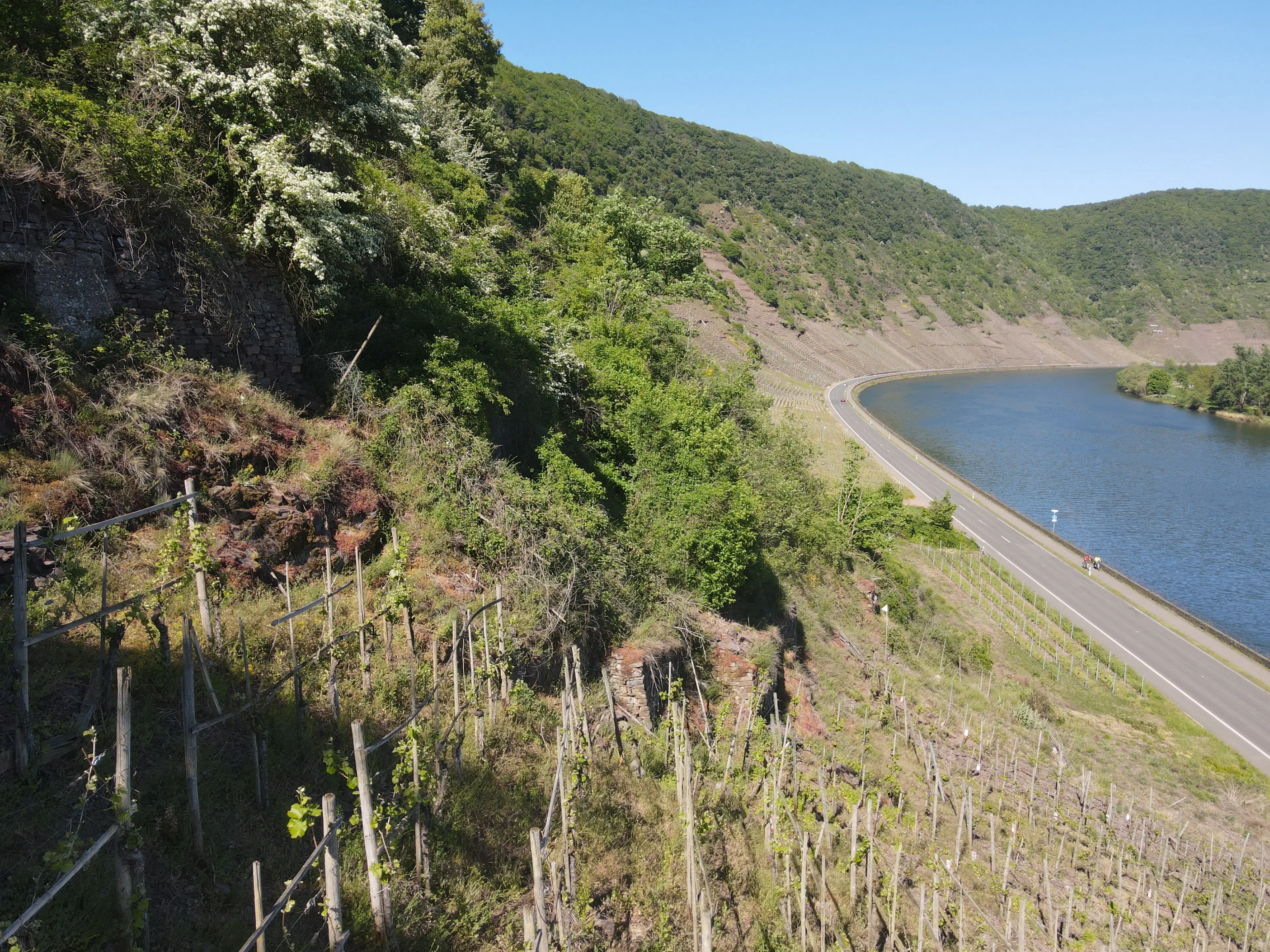586 m² eigendomsperceel aan de oevers van Cochem - Duitsland
