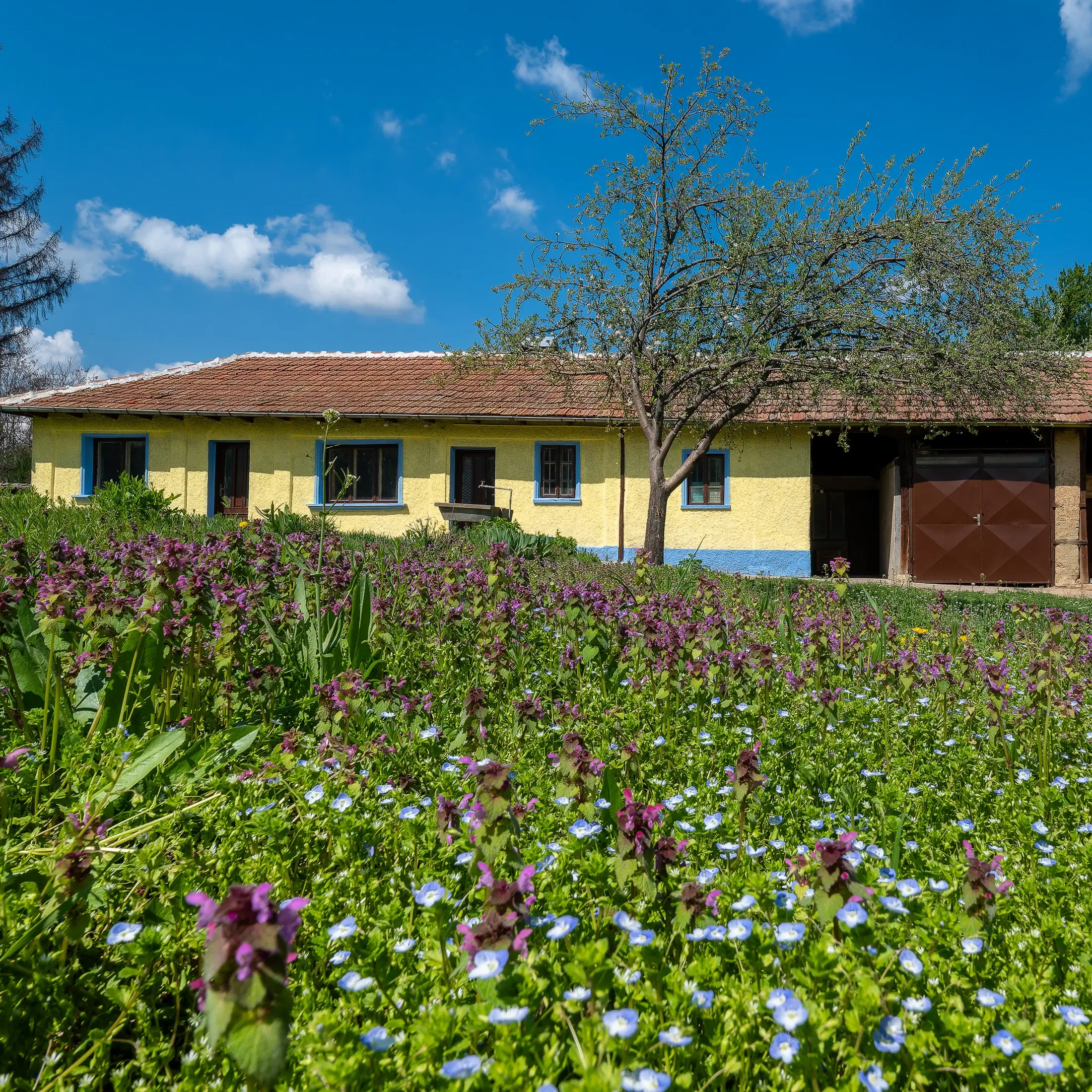 Perceel van 2.090 m² + Gezinswoning + Bijgebouwen - Karaisen, Veliko Tarnovo - Bulgarije