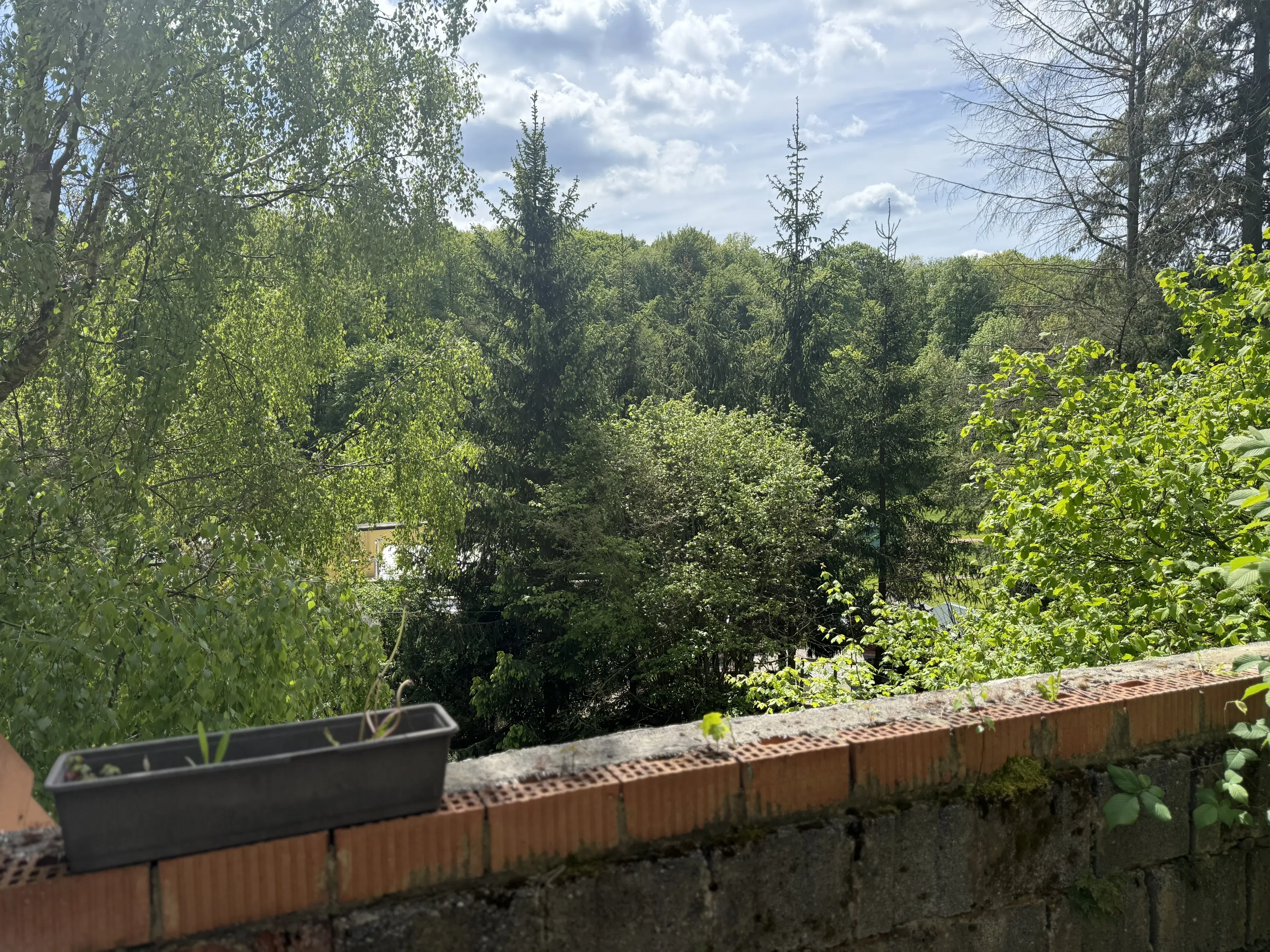 3 wooneenheden op perceel 1.398 m² in Gerstungen, nabij Eisenach - Duitsland