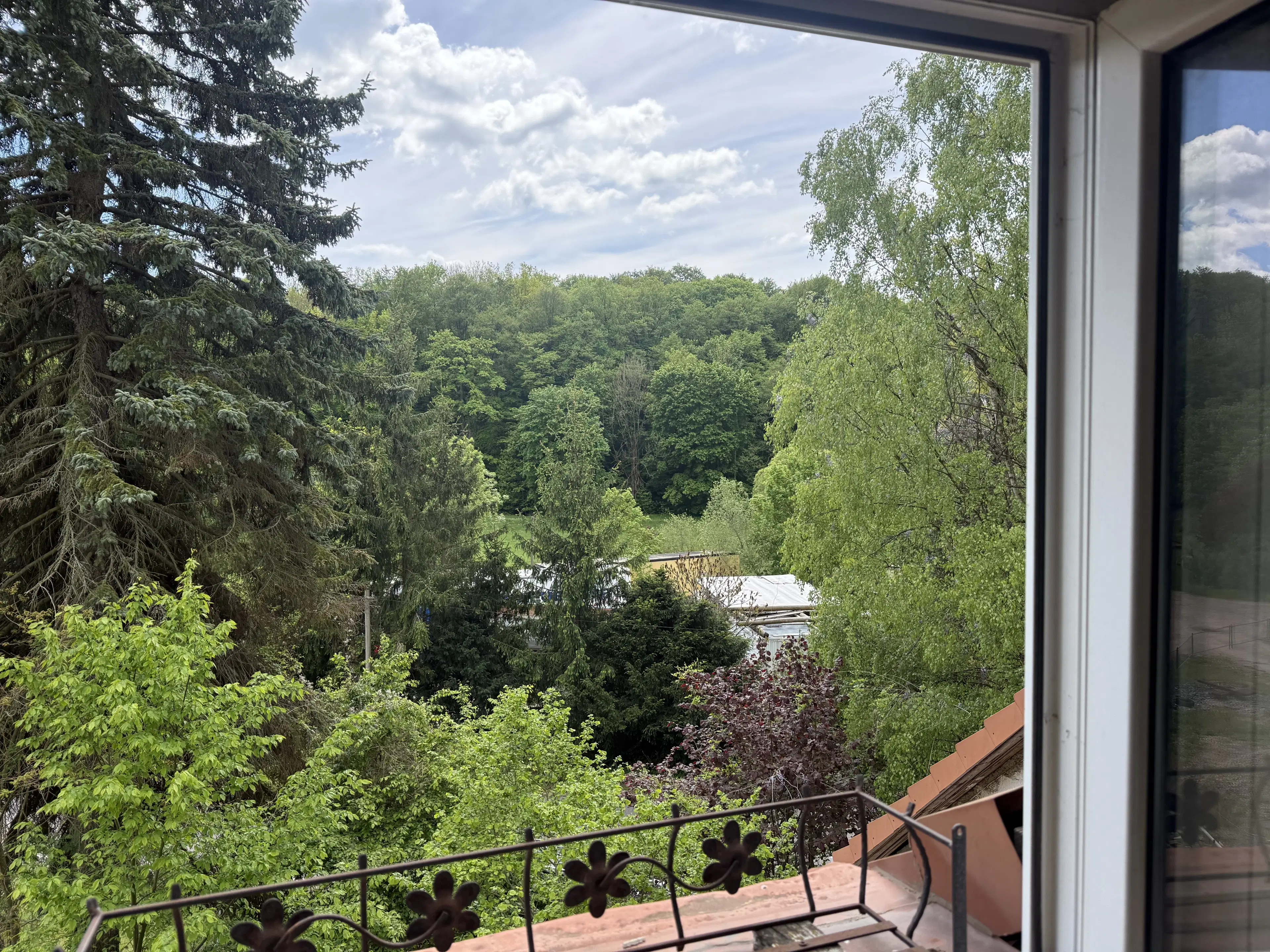 3 wooneenheden op perceel 1.398 m² in Gerstungen, nabij Eisenach - Duitsland