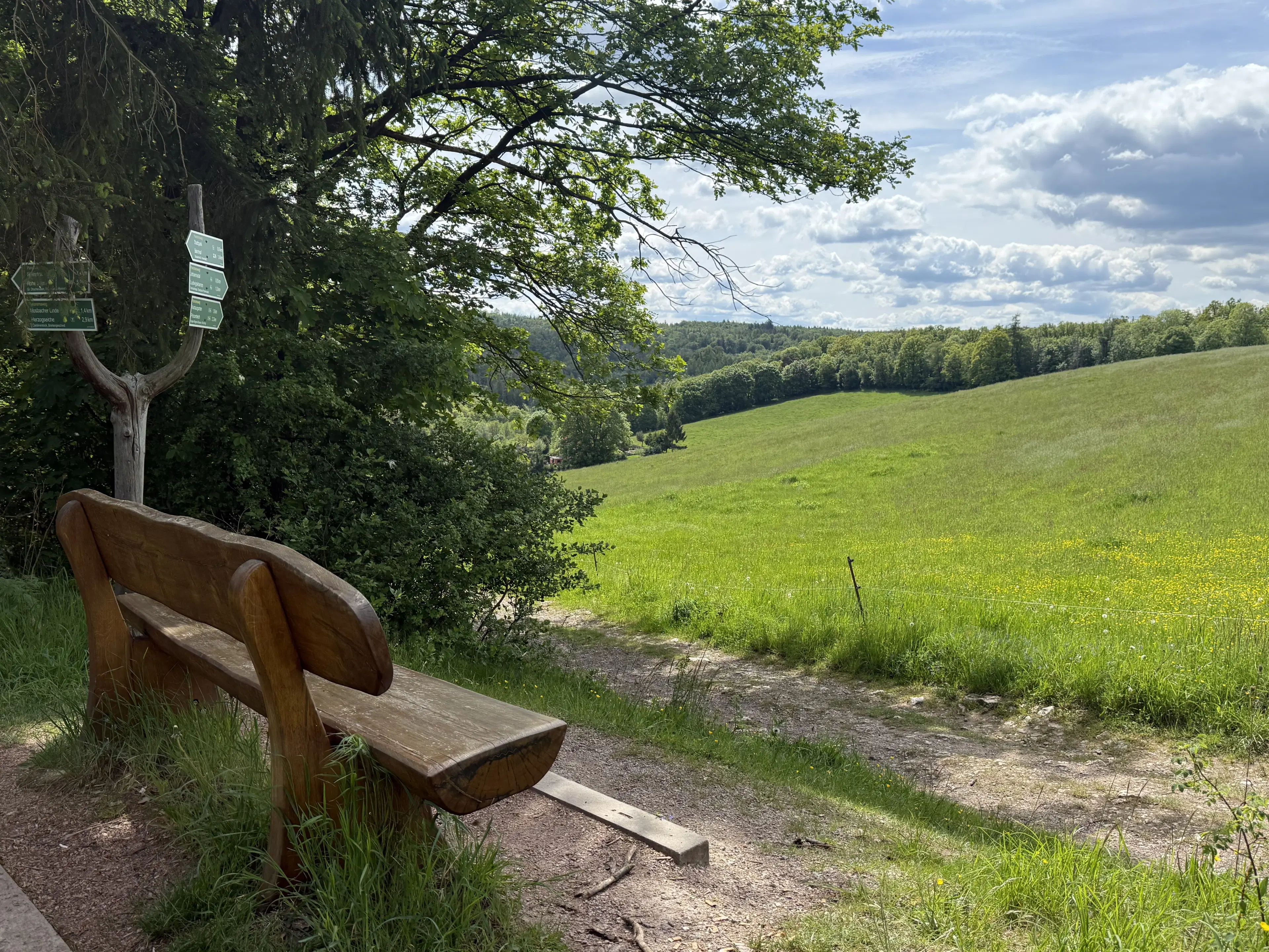 3 wooneenheden op perceel 1.398 m² in Gerstungen, nabij Eisenach - Duitsland