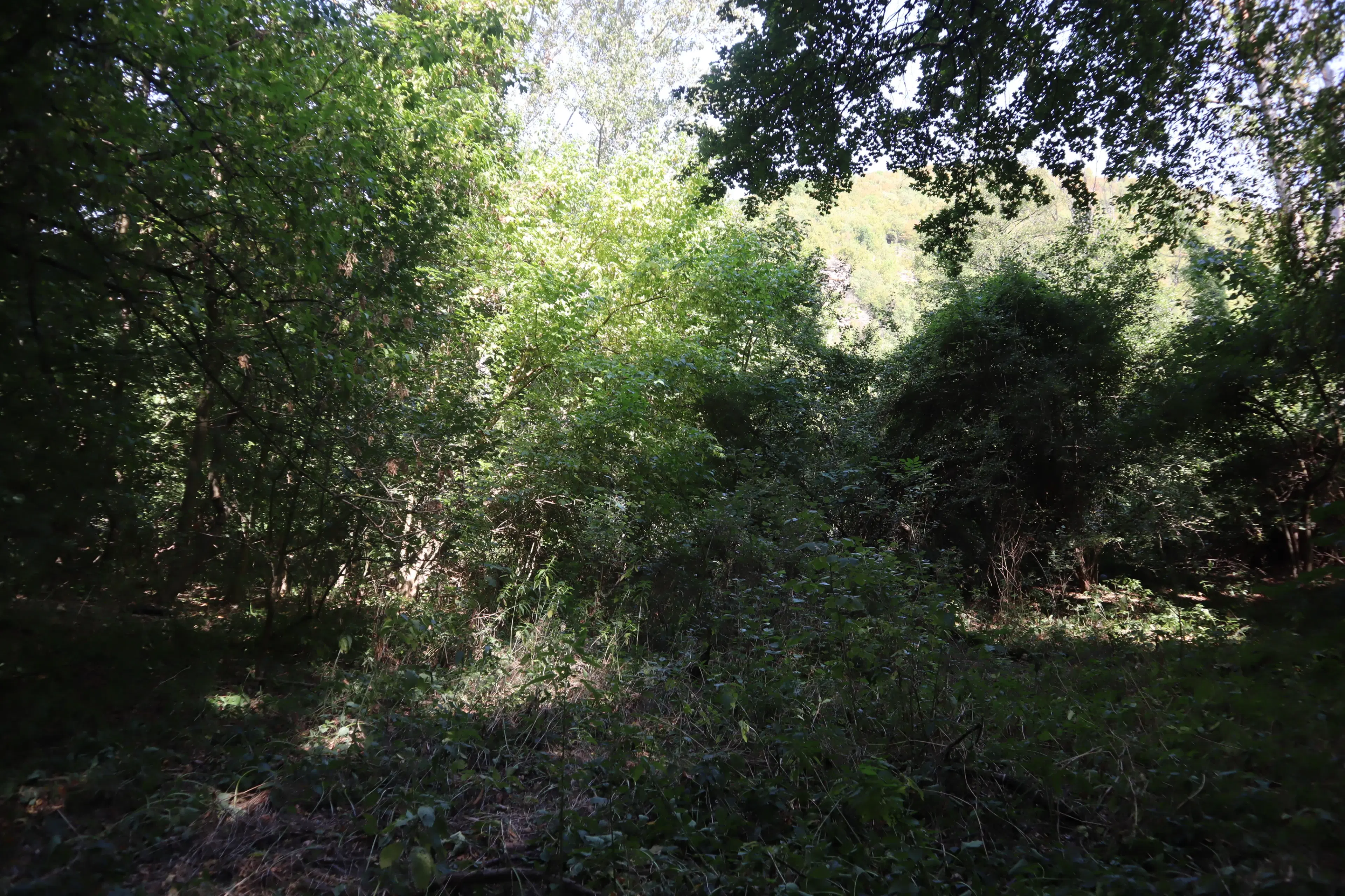Bosgrond 30.194 m² - Investering & Natuurverblijf, Regio Troyan - Bulgarije