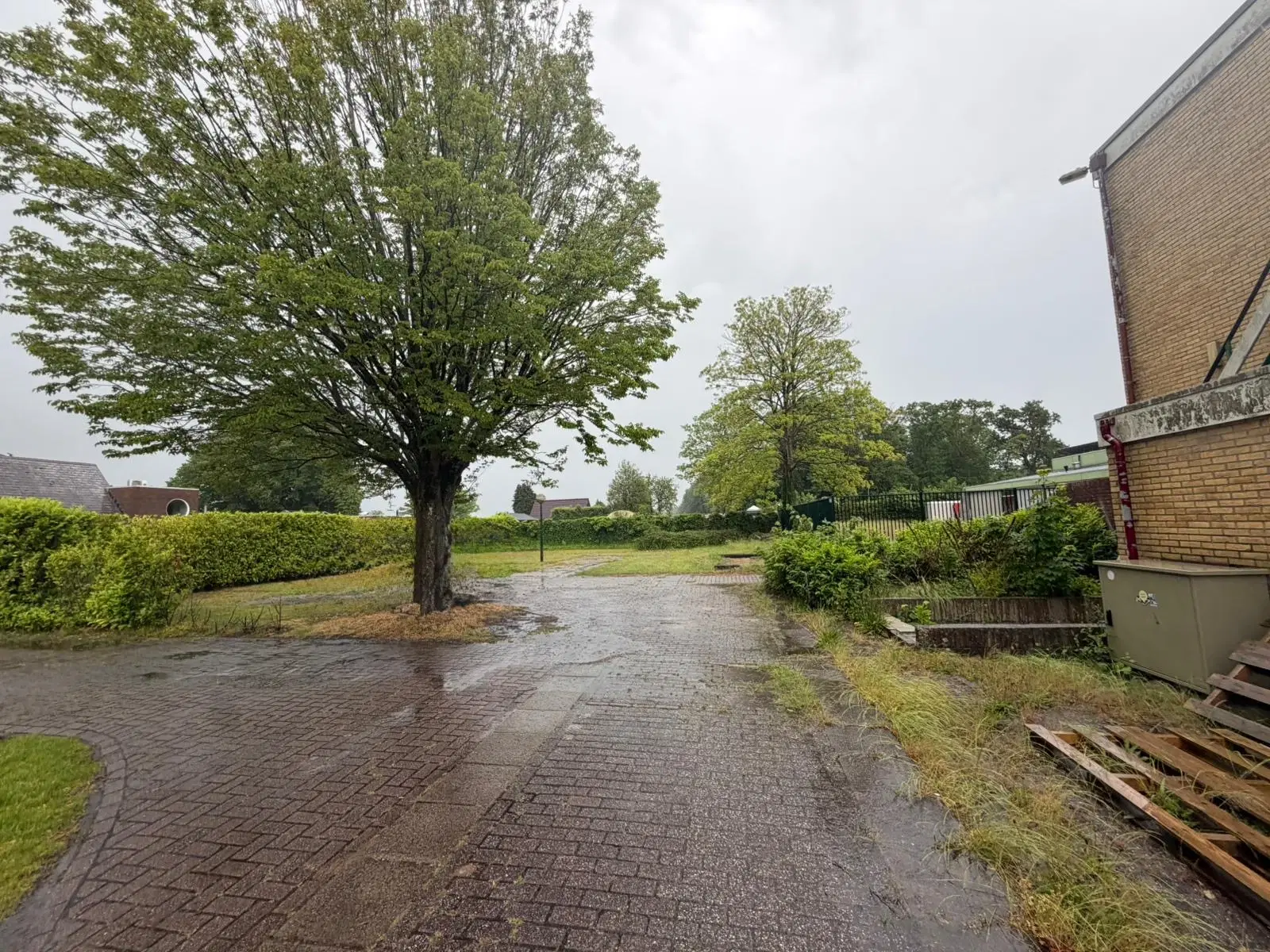 Rijs, Marderleane 1a