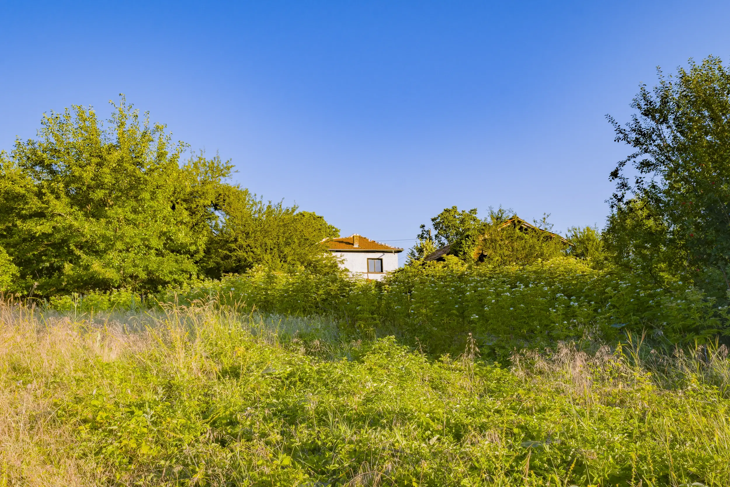 Perceel van 7.857 m² met 2-verdiepingen gezinswoning en bijgebouwen, met uitzicht nabij Veliko Tarnovo - Bulgarije