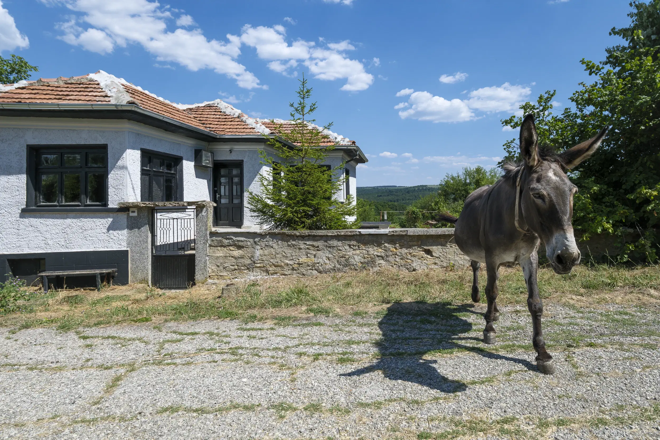 Perceel van 7.857 m² met 2-verdiepingen gezinswoning en bijgebouwen, met uitzicht nabij Veliko Tarnovo - Bulgarije