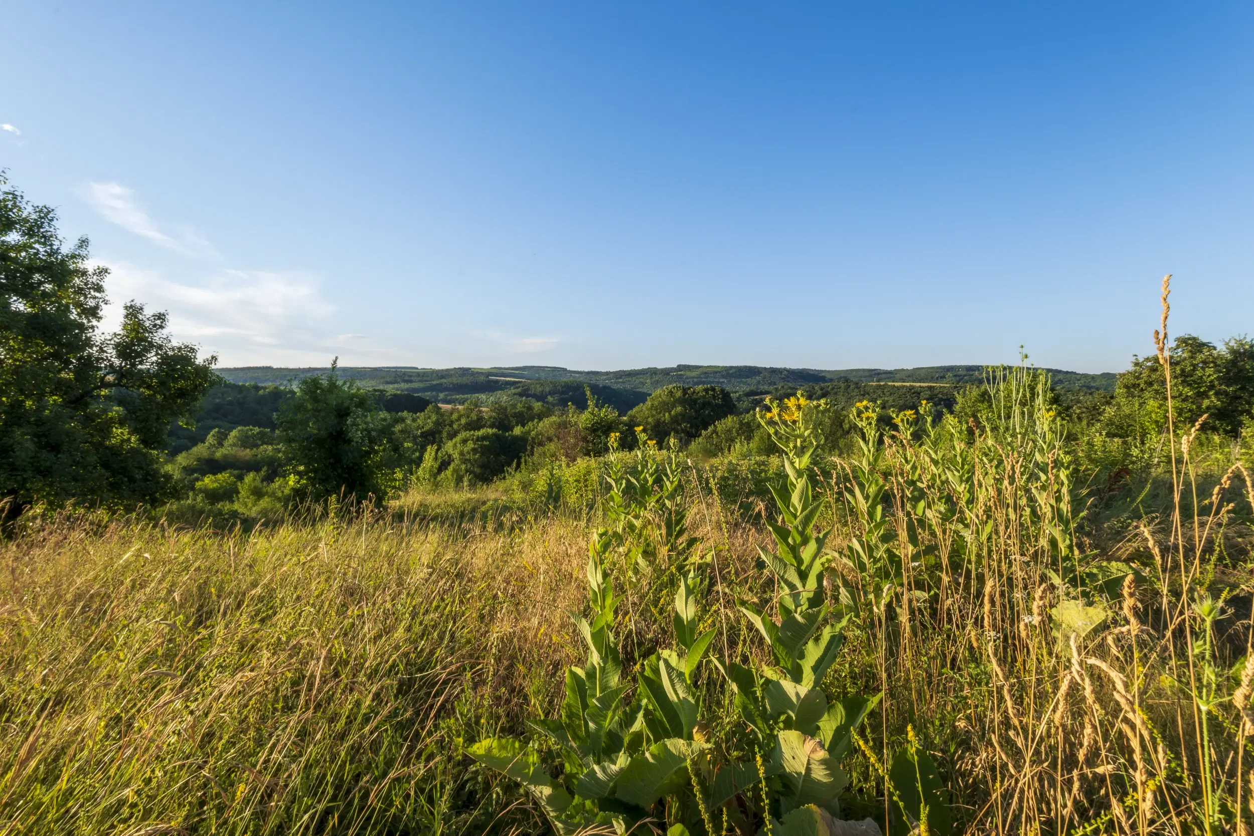 Perceel van 7.857 m² met 2-verdiepingen gezinswoning en bijgebouwen, met uitzicht nabij Veliko Tarnovo - Bulgarije