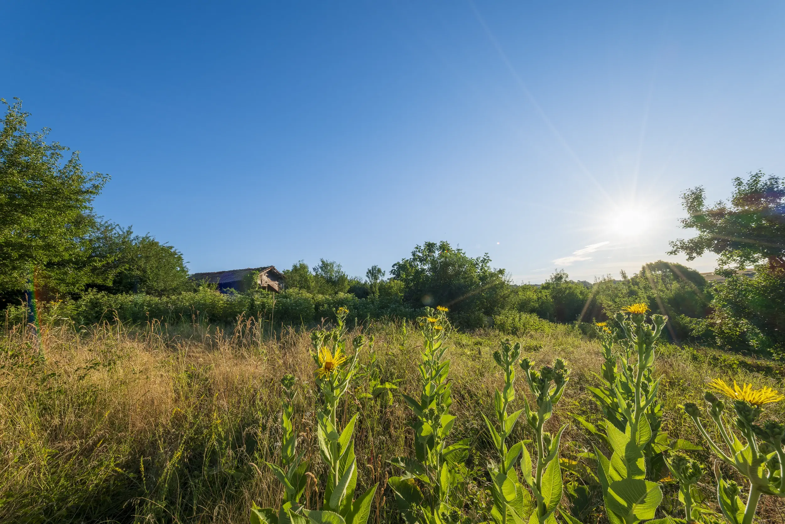 Perceel van 7.857 m² met 2-verdiepingen gezinswoning en bijgebouwen, met uitzicht nabij Veliko Tarnovo - Bulgarije