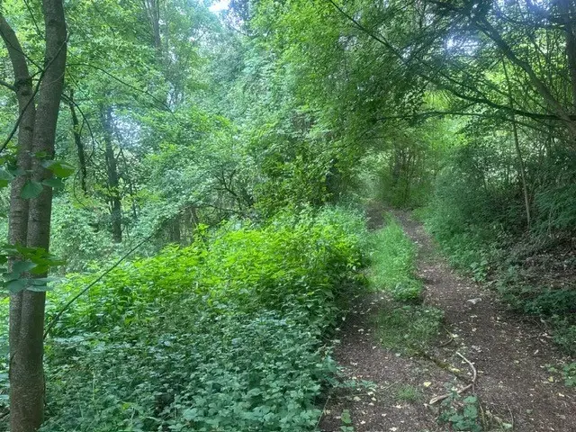 6.166 m² groen perceel nabij Ebenshausen, Thüringen - Duitsland