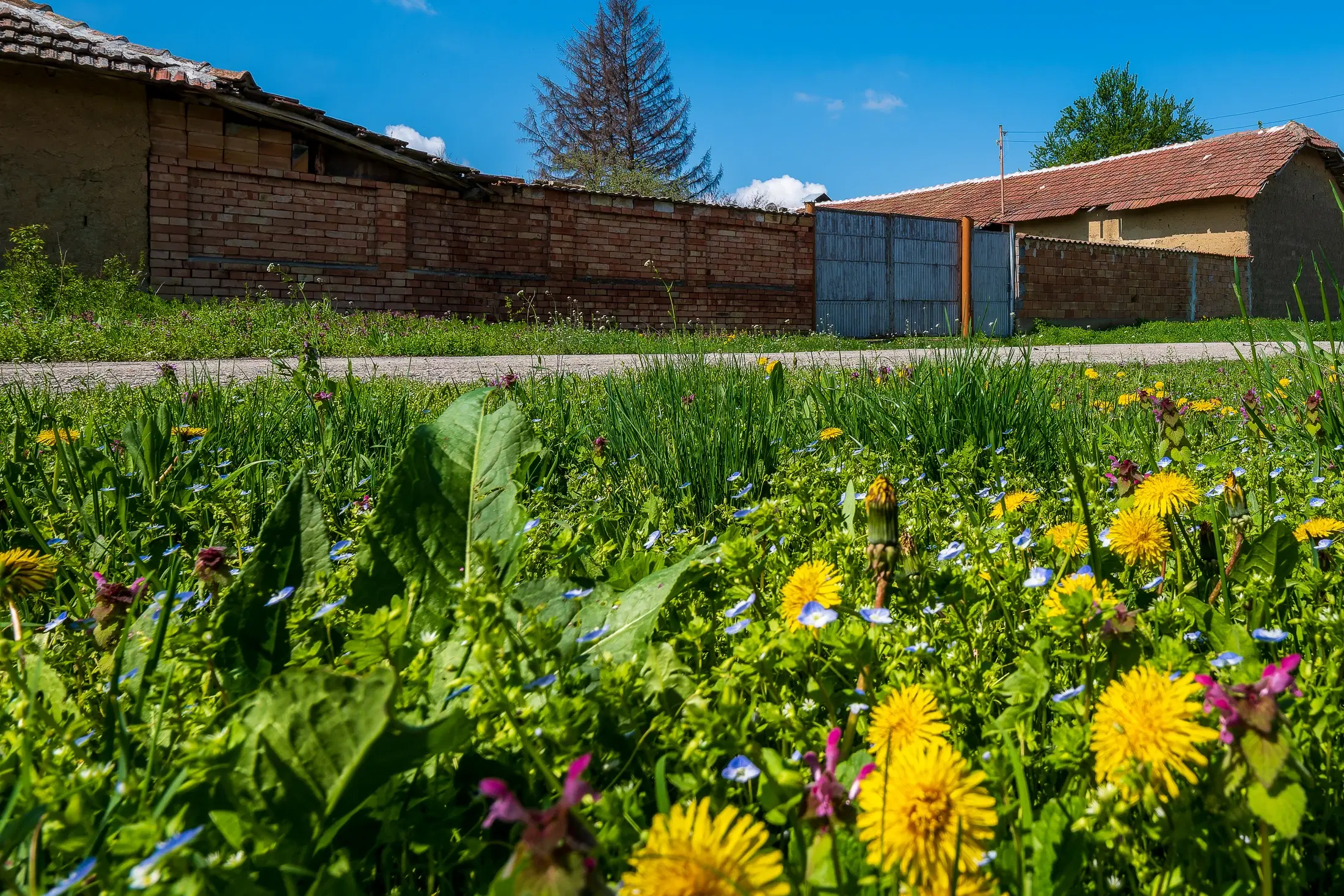 Gezinswoning op 2.090 m² perceel en bijgebouwen in Karaisen, Veliko Tarnovo - Bulgarije