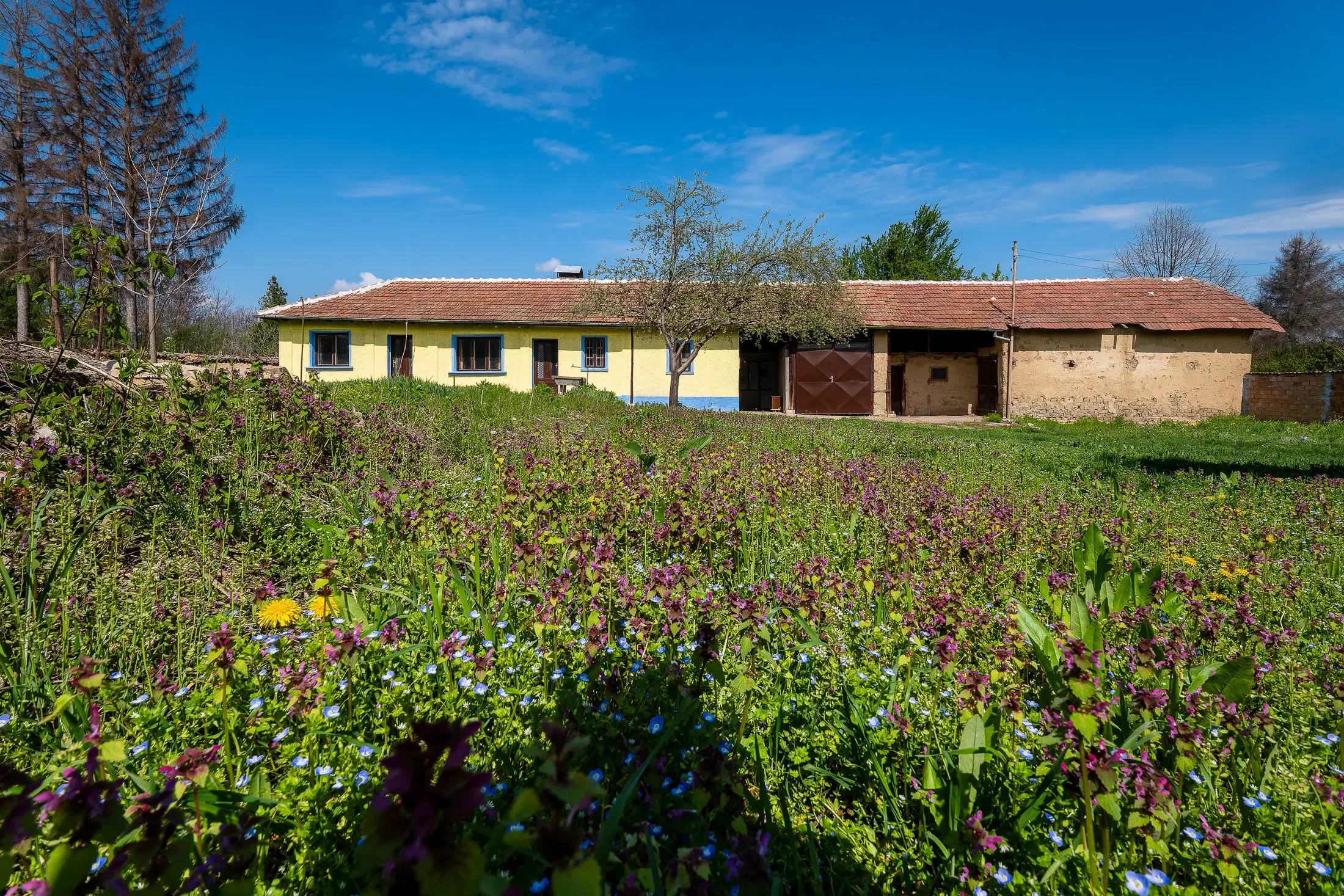 Gezinswoning op 2.090 m² perceel en bijgebouwen in Karaisen, Veliko Tarnovo - Bulgarije