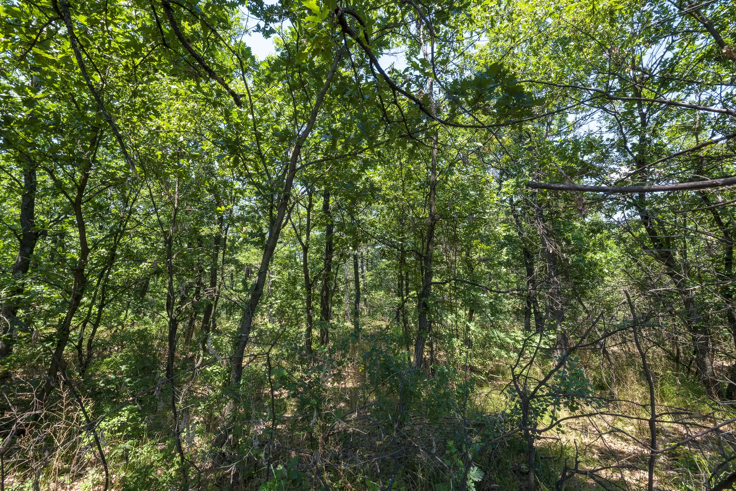 49.509 m² gemengd loofbox in Belogradchik - Bulgarije