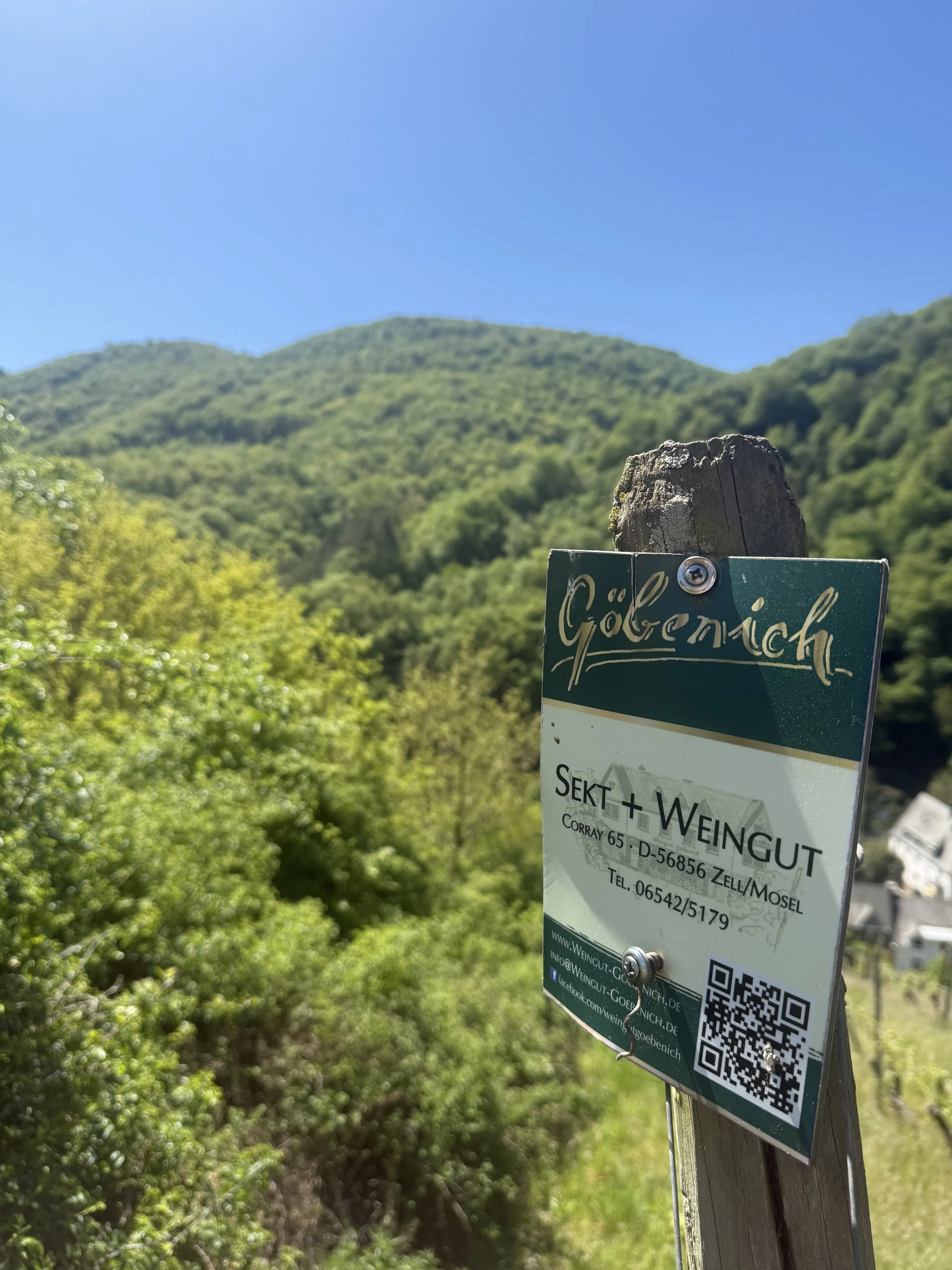 972 m² wijngaard met Riesling in Zell, Cochem - Duitsland