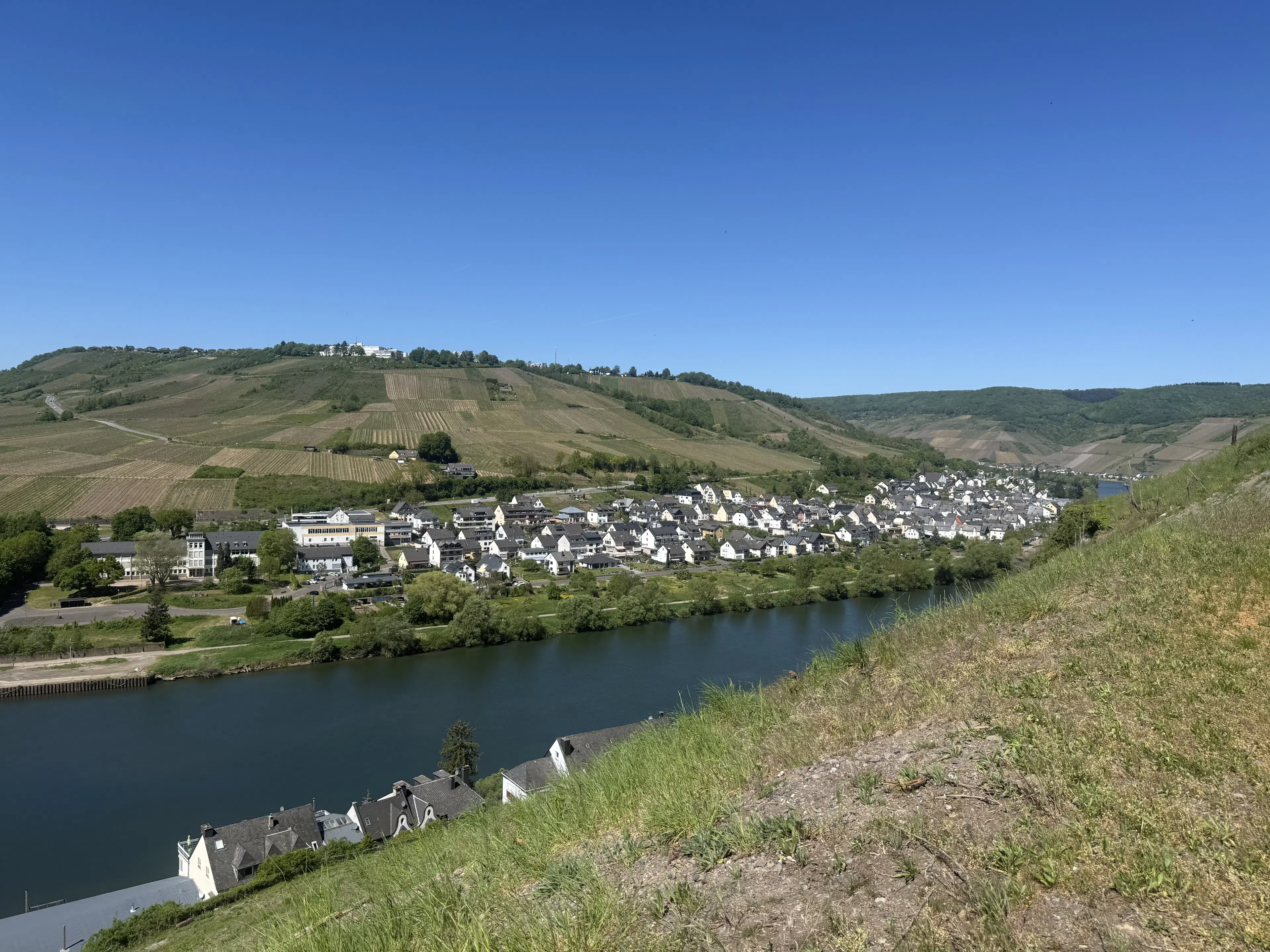 972 m² wijngaard met Riesling in Zell, Cochem - Duitsland