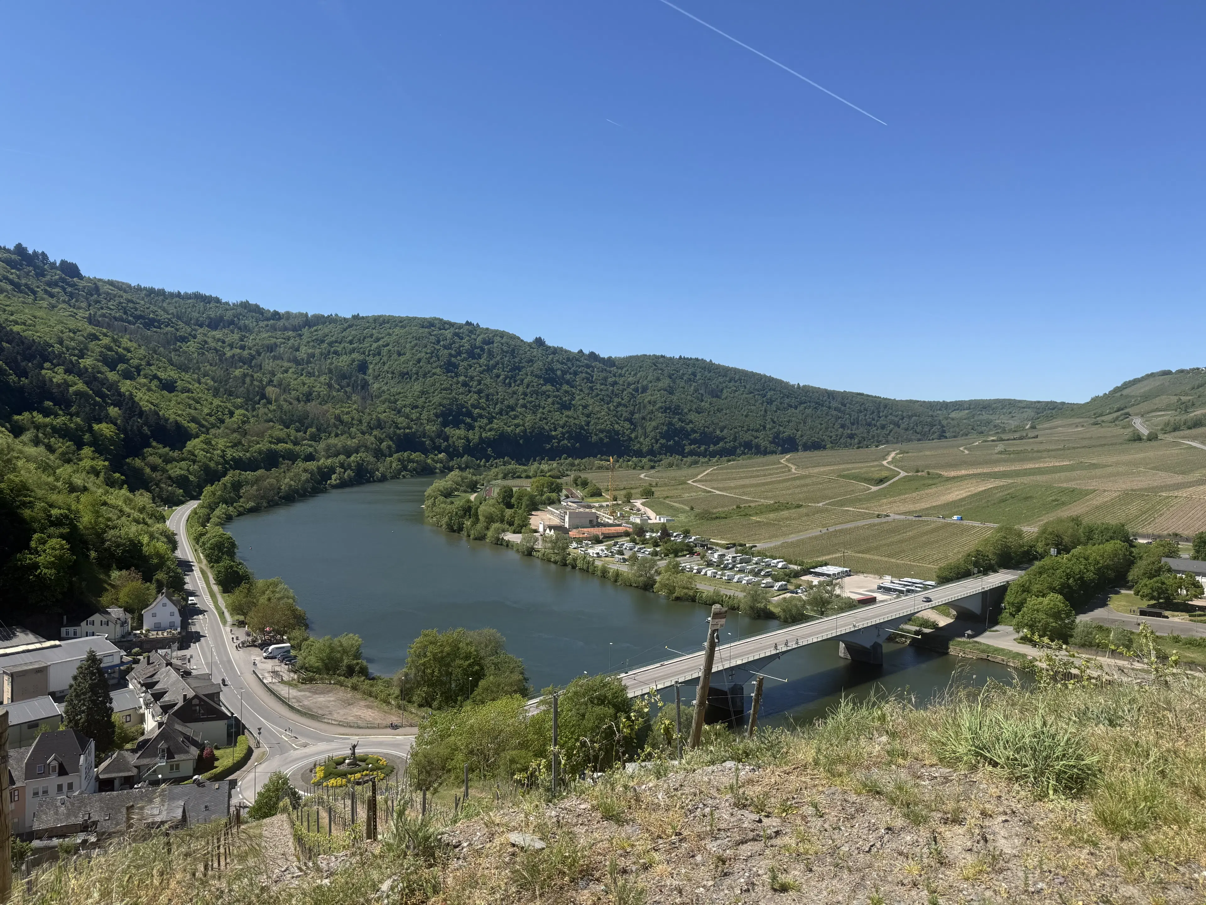 972 m² wijngaard met Riesling in Zell, Cochem - Duitsland