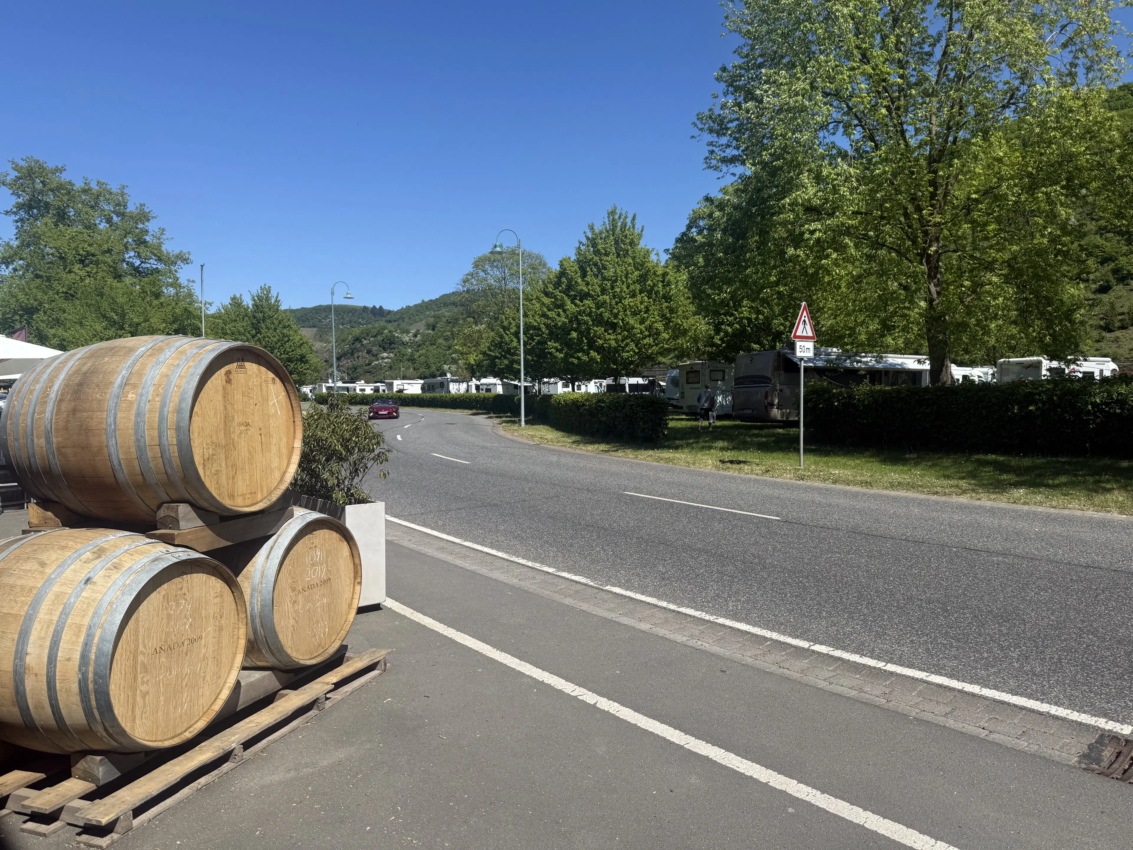 972 m² wijngaard met Riesling in Zell, Cochem - Duitsland