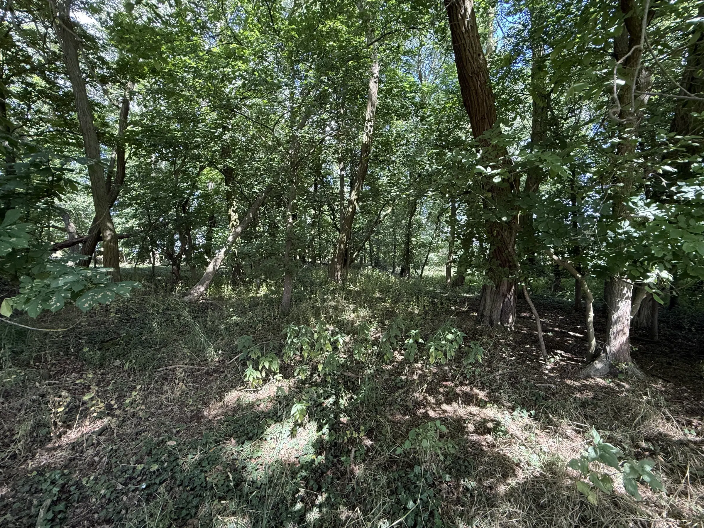 2 Percelen van totaal 1.275 m² in Lebus, Brandenburg - Duitsland