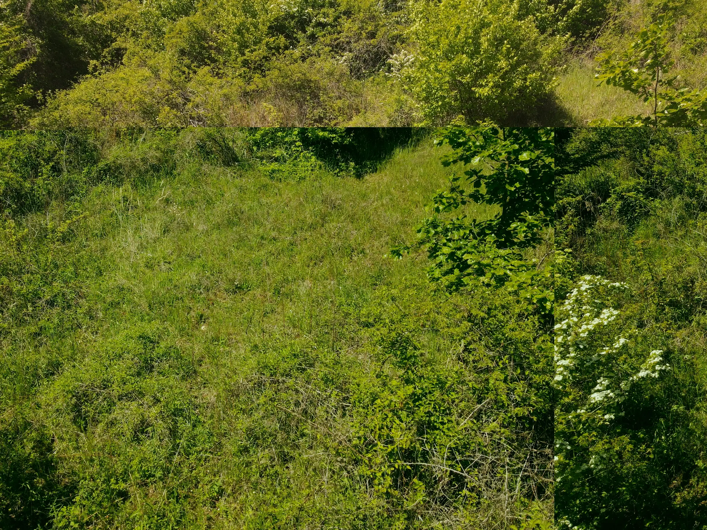 Perceel van 1.679 m² nabij Cochem - Duitsland