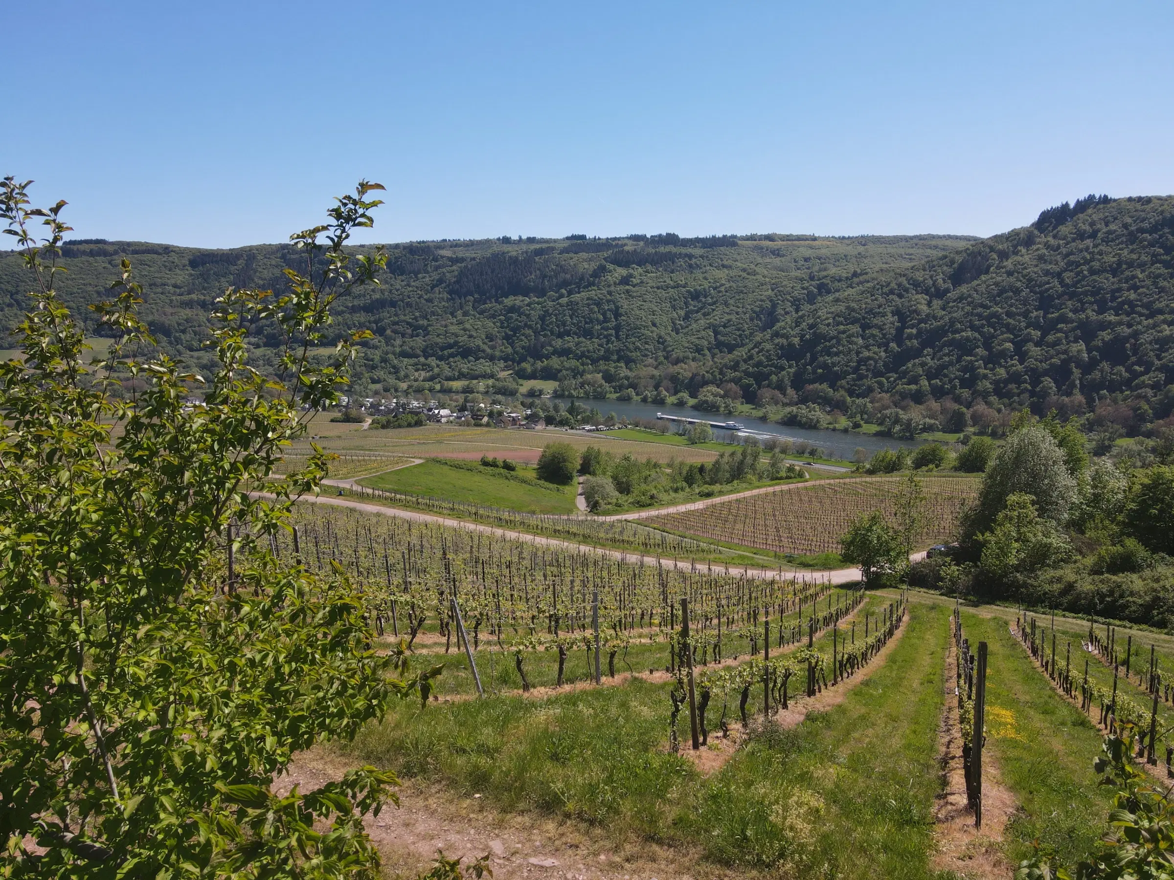 Perceel van 1.679 m² nabij Cochem - Duitsland