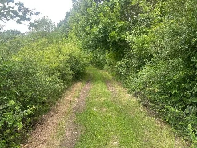 3.950 m² groen perceel nabij Ebenshausen, Thüringen - Duitsland