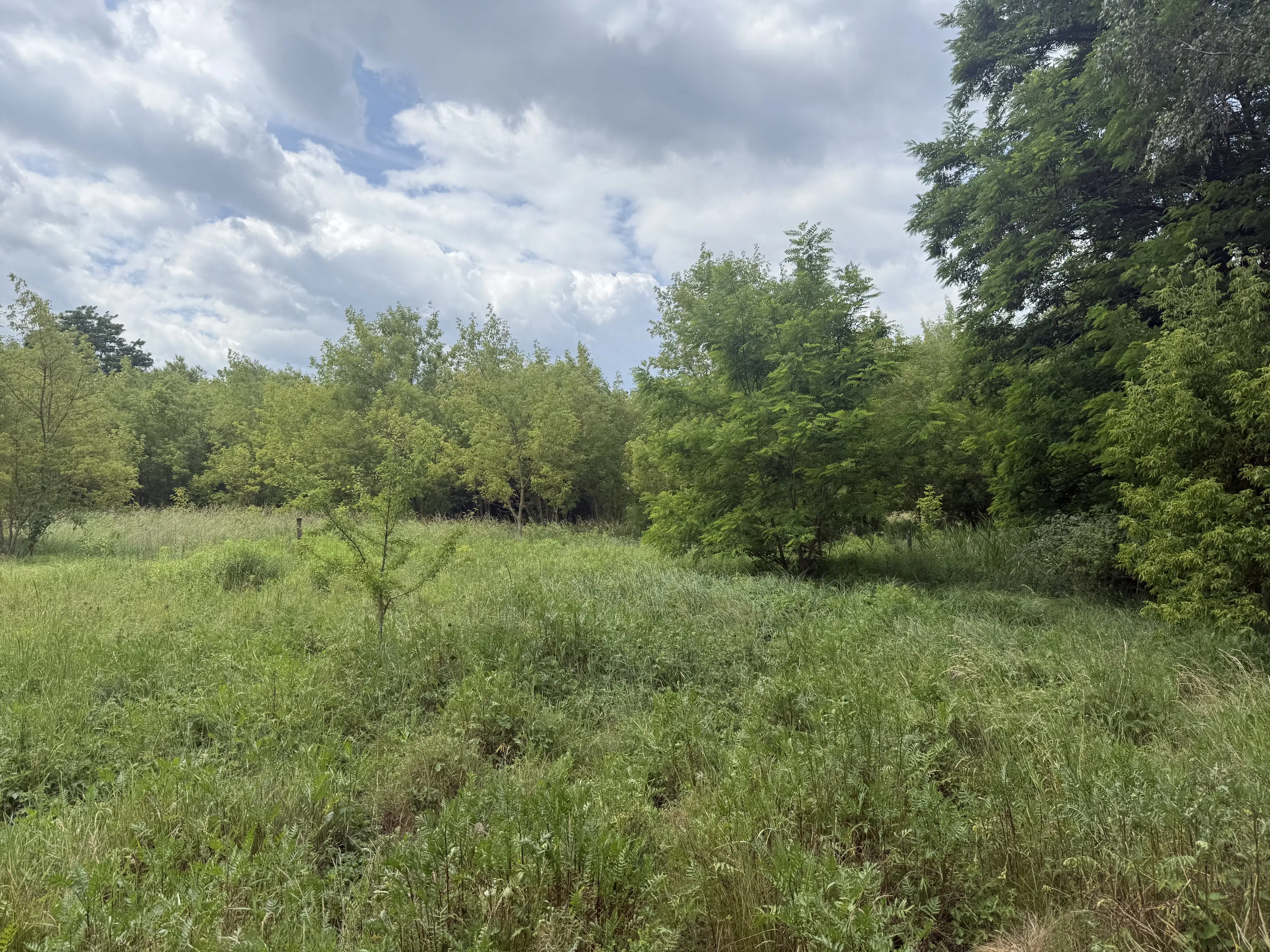 54.019 m² natuur- en recreatieterrein met recreatiemeer Ringsee in Königs Wusterhausen, nabij Berlijn – Duitsland