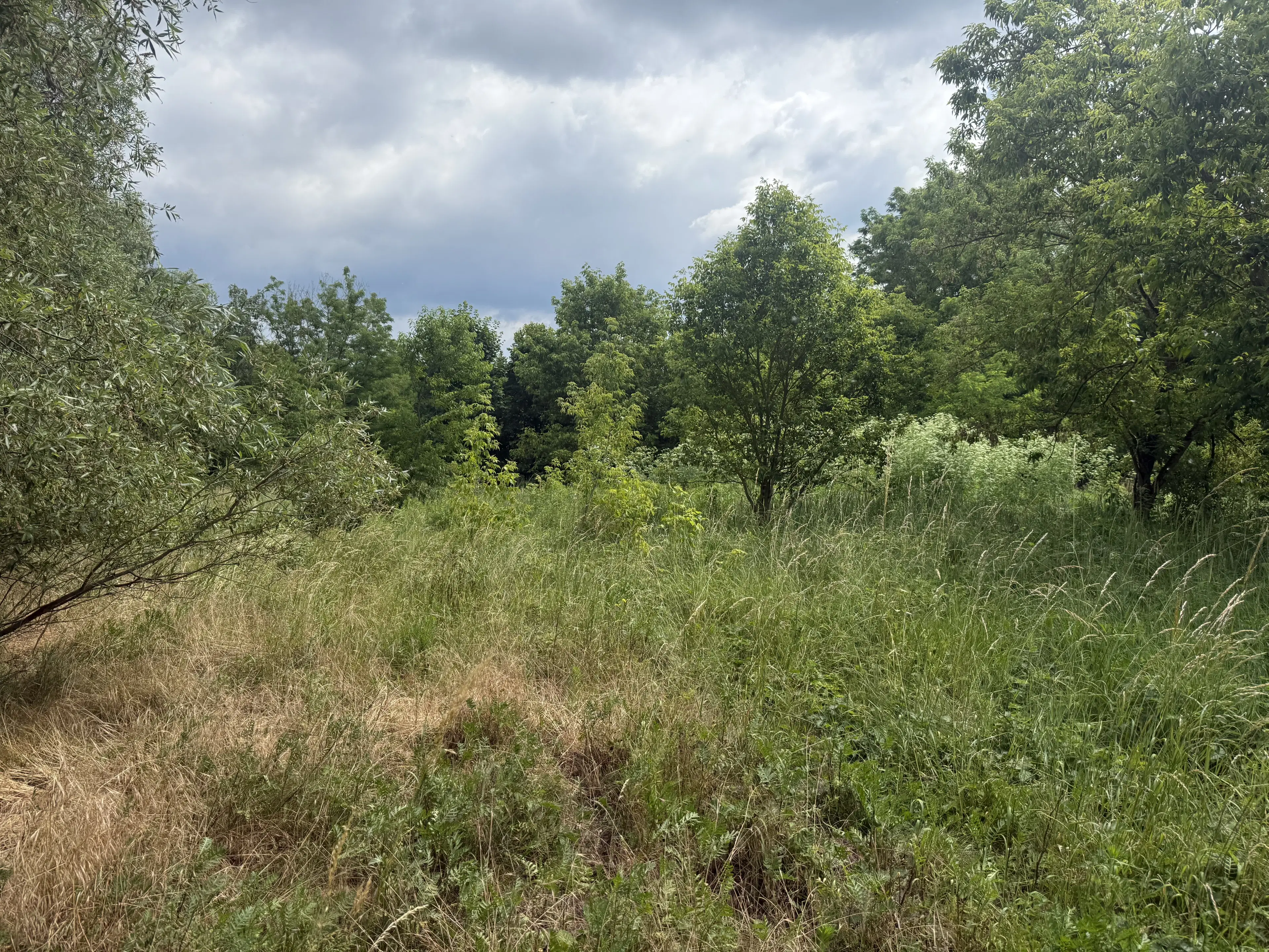 54.019 m² natuur- en recreatieterrein met recreatiemeer Ringsee in Königs Wusterhausen, nabij Berlijn – Duitsland