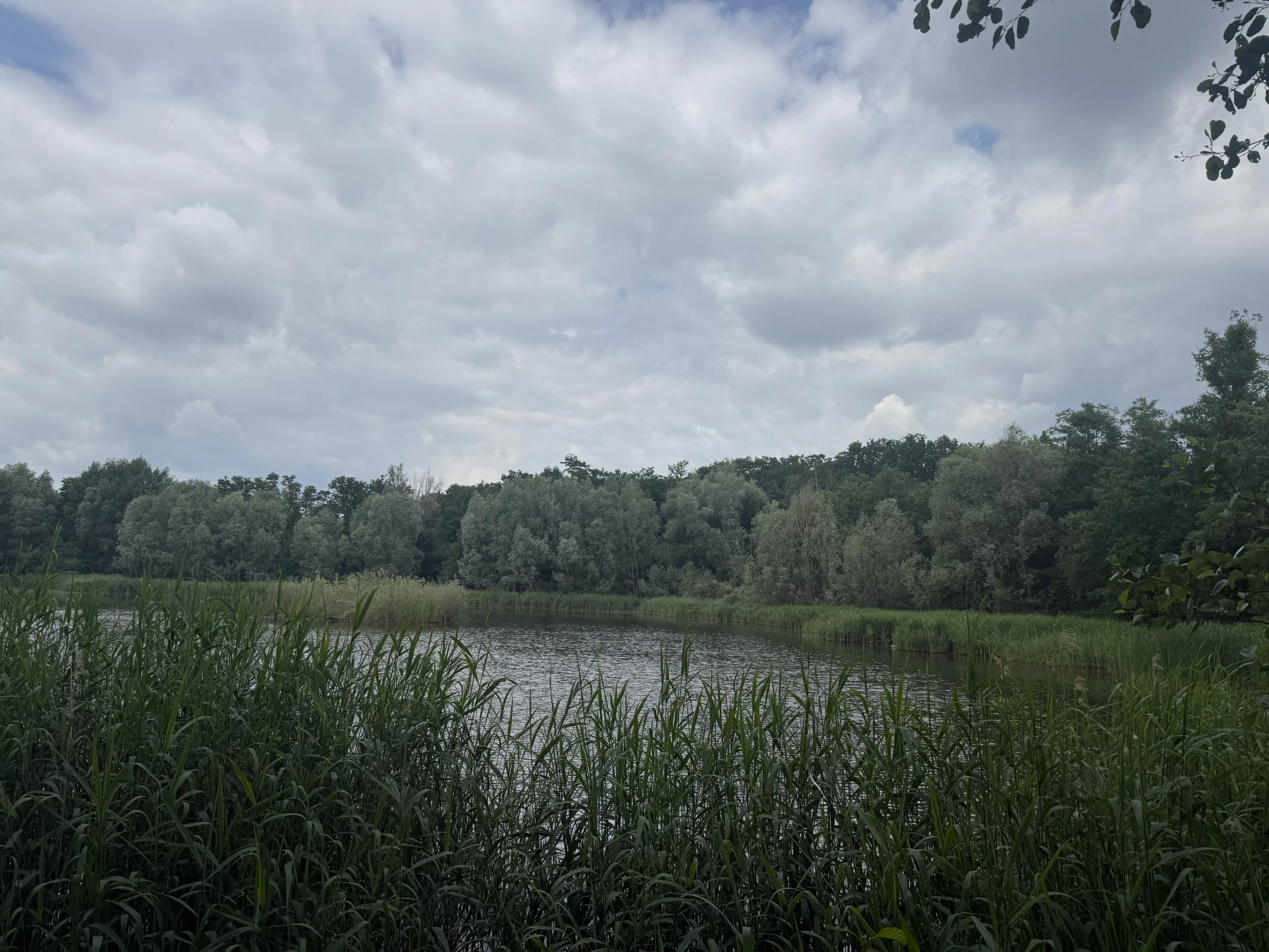 54.019 m² natuur- en recreatieterrein met recreatiemeer Ringsee in Königs Wusterhausen, nabij Berlijn – Duitsland