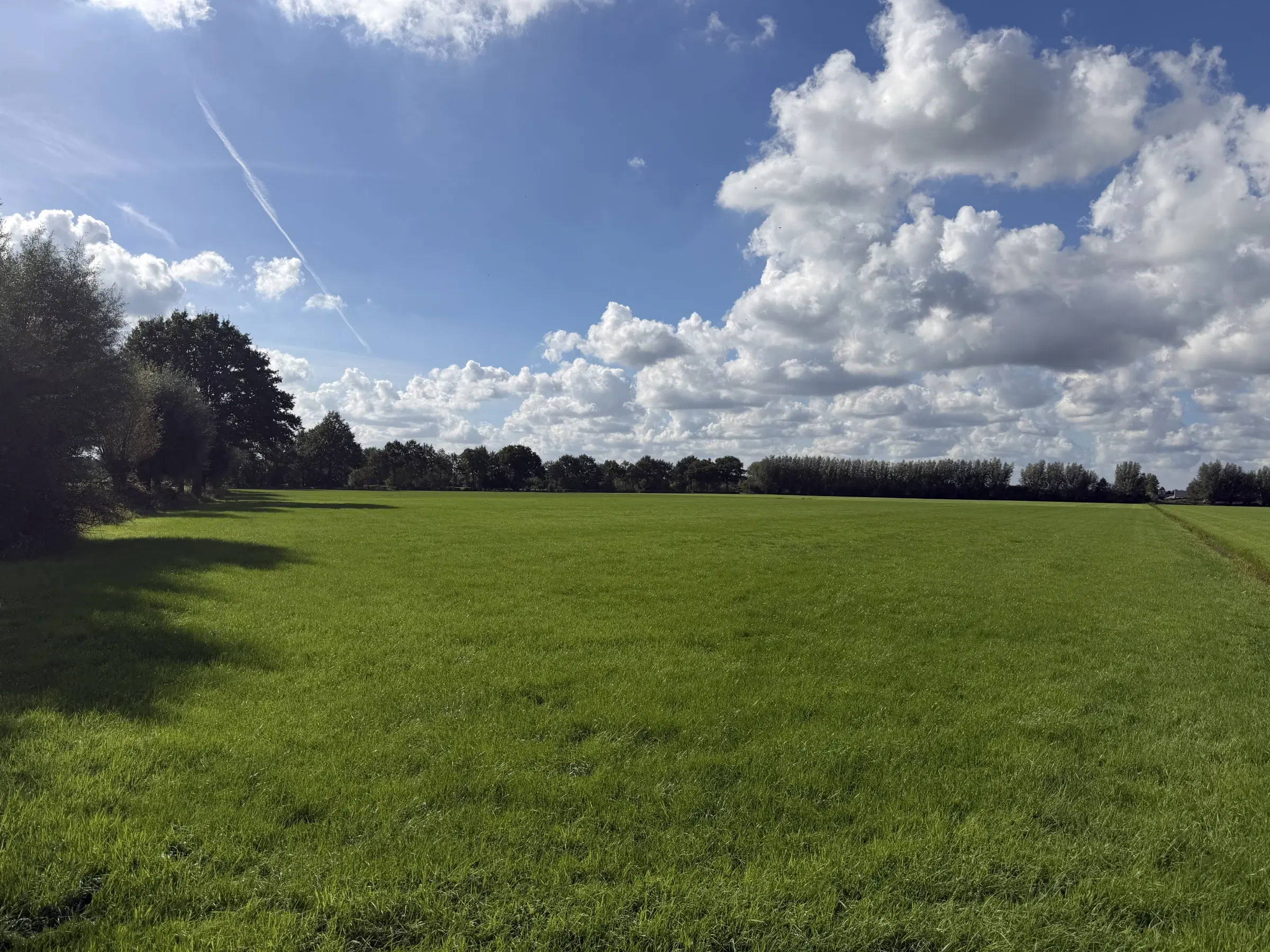 INSCHRIJVING | Perceel grond aan de Hoevenallee, hoek Kraaigraafstraat te Terwolde