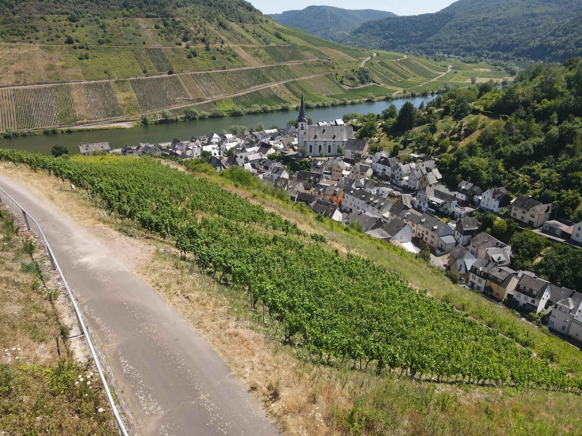 Wijngaard met Riesling van 803 m² perceel nabij Briedel, Cochem - Duitsland