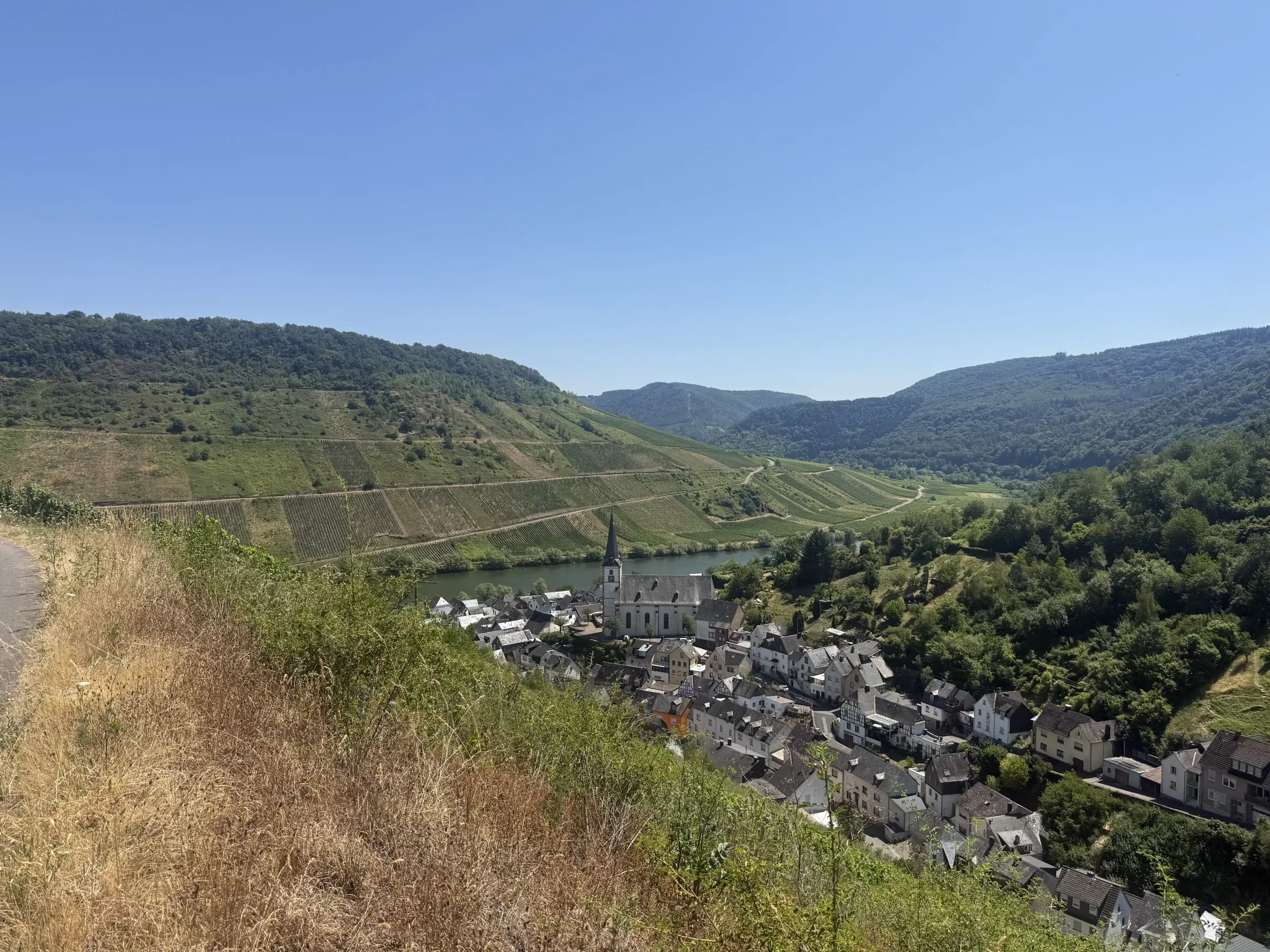 Wijngaard met Riesling van 803 m² perceel nabij Briedel, Cochem - Duitsland