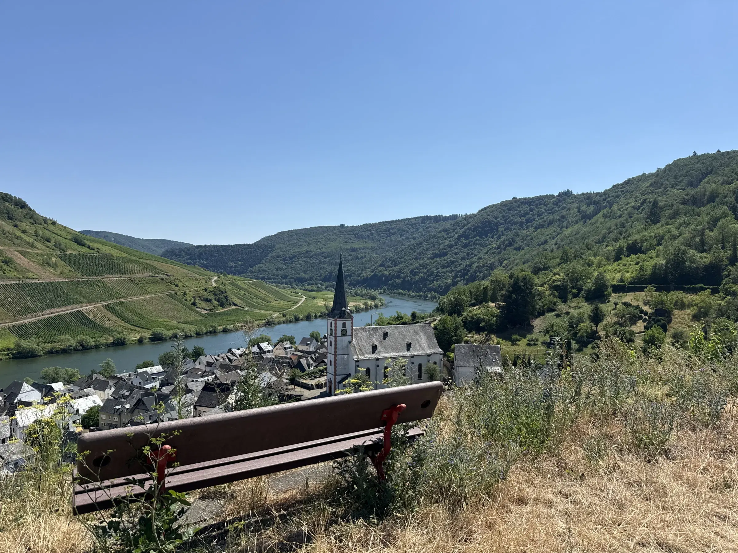 Wijngaard met Riesling van 803 m² perceel nabij Briedel, Cochem - Duitsland