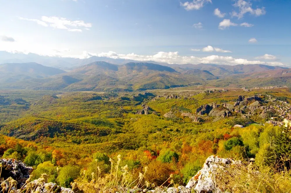 174.932 m2 bosgrond in de regio Belogradchik - Bulgarije