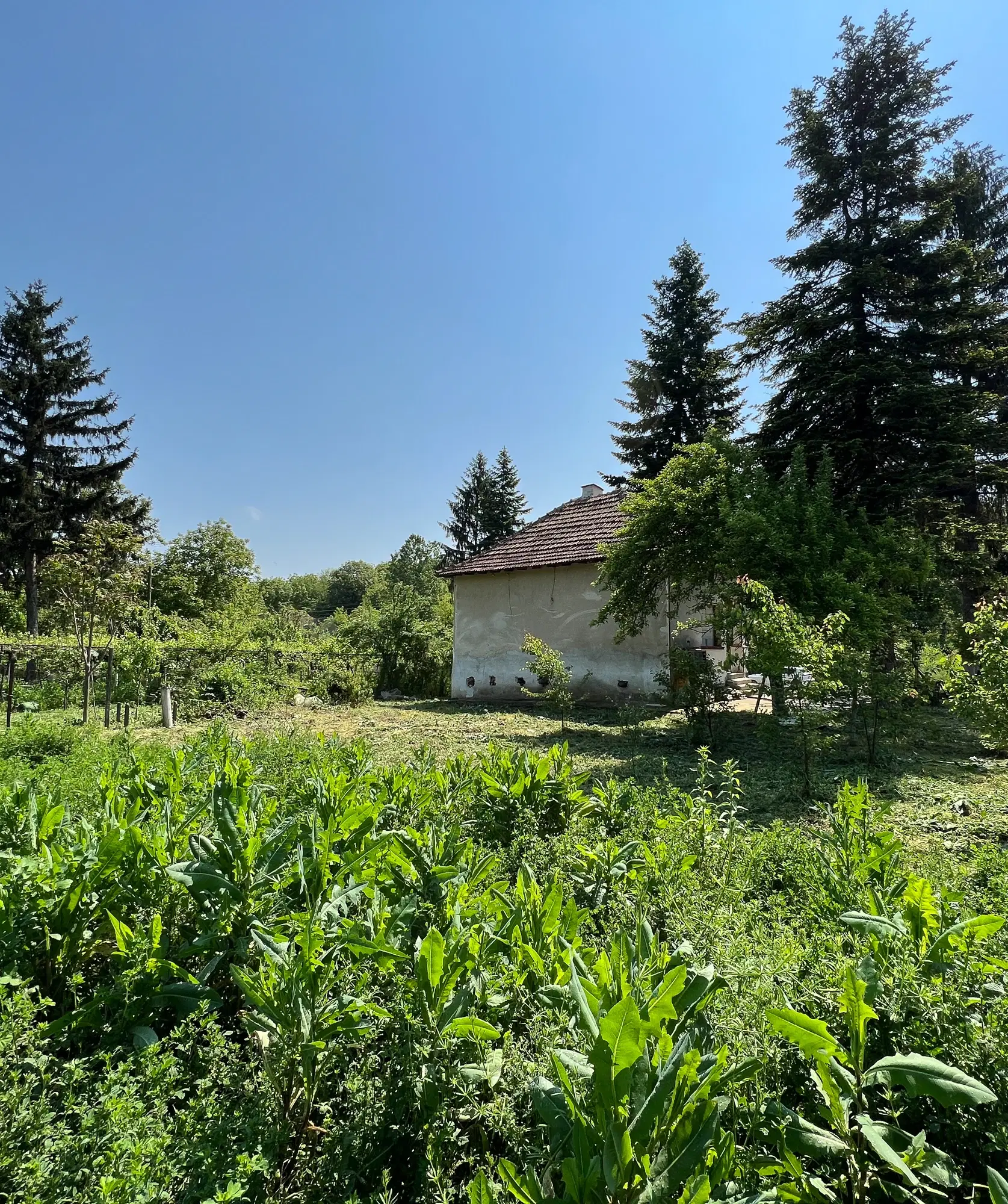 Galovo, Ulitsa Kiril & Metodi 31