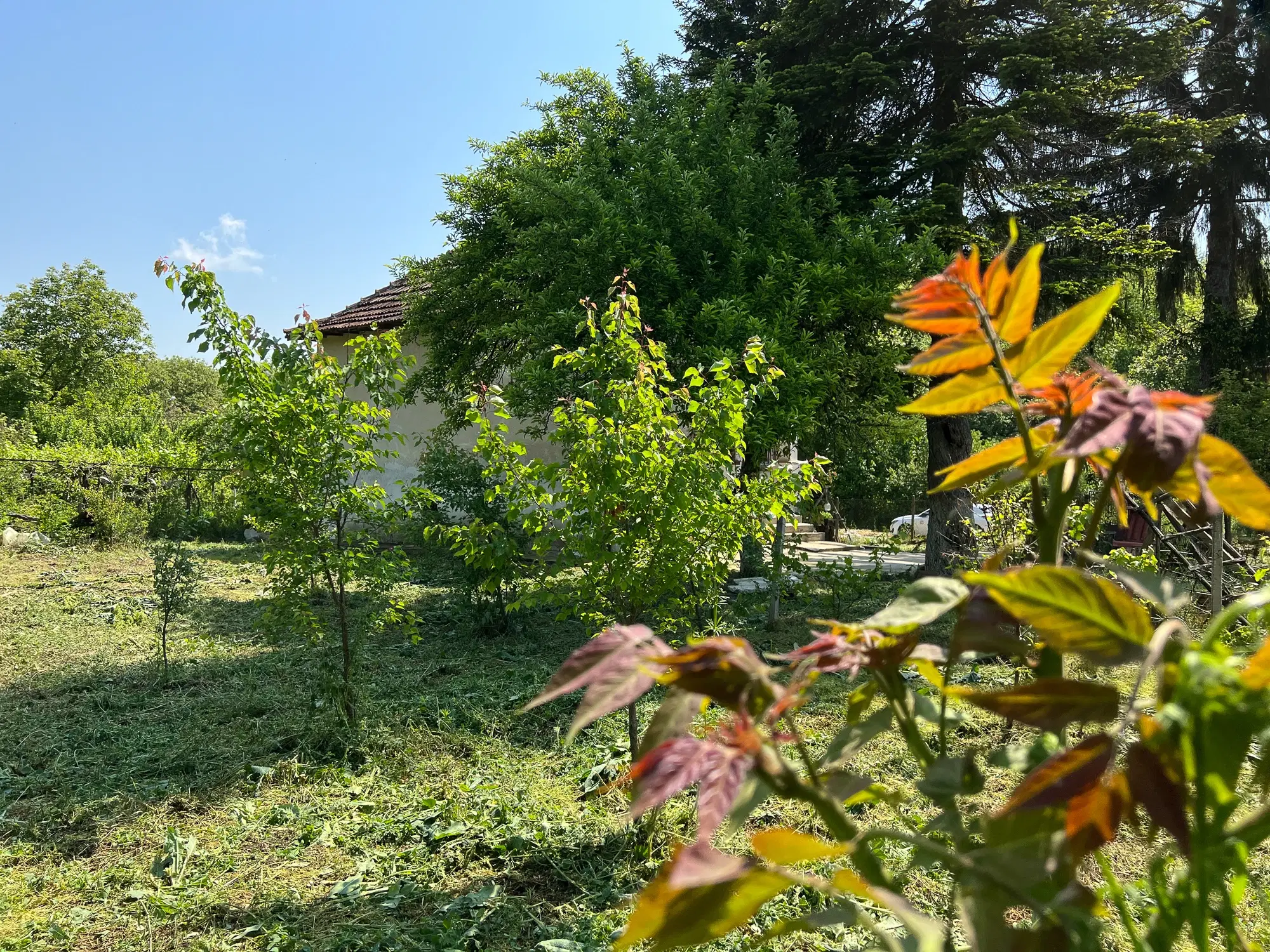 Galovo, Ulitsa Kiril & Metodi 31